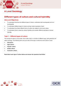 Different types of culture and cultural hybridity