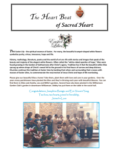 April 19, 2015 - Sacred Heart Catholic Church of Williamson