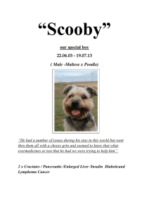 Scooby full Story