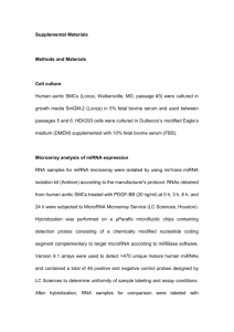 Supplemental Materials Methods and Materials Cell culture Human