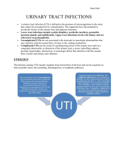 infectious disease- UTI