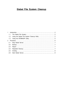 1.2 Using the Siebel File System Cleanup Utility