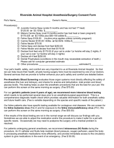 Riverside Animal Hospital Anesthesia/Surgery Consent Form
