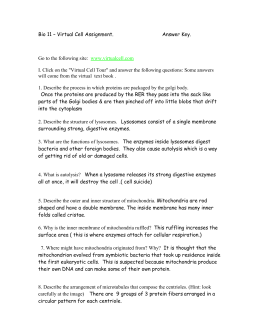 Worksheets Virtual Cell Worksheet cell city worksheet high school bio 11 virtual assignment