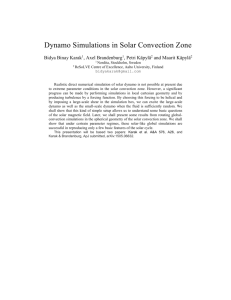 Dynamo Simulations in Solar Convection Zone