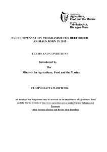 Terms and Conditions of BVD Scheme for Beef Breed animals born