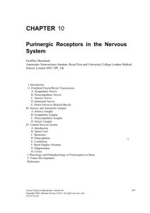 Burnstock,G. (2003). Purinergic receptors in the nervous system. In
