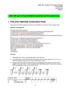 PCR (POLYMERASE CHAIN REACTION)