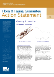 Otway Stonefly (Eusthenia nothofagi) accessible
