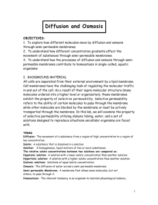 Diffusion and Osmosis Lab