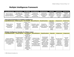 Multiple Intelligences Framework: