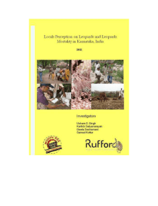 Project Report - The Rufford Foundation