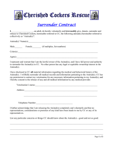 Surrender Contract