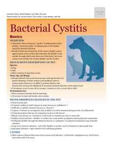 bacterial_cystitis