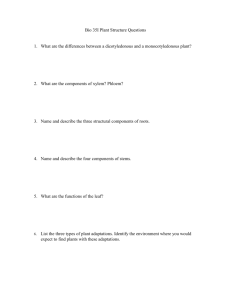 Bio 15 X Plant Structure Questions - Science-with