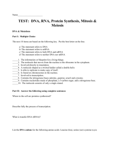 DNA, RNA, Protein Synthesis, Mitosis & Meiosis Test