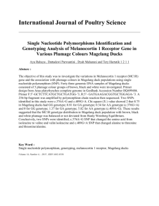 Single Nucleotide Polymorphisms Identification and Genotyping
