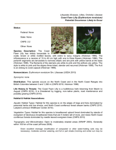 Coast Fawn Lilly (Erythronium revolutum)