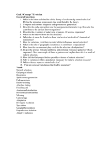 Fossil Record Review Sheet