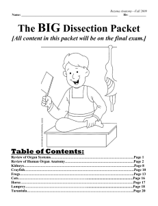BIG Dissection Packet