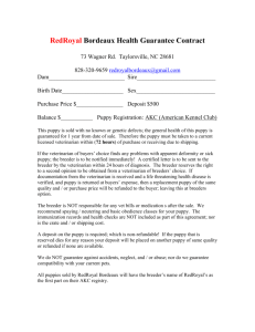 Red Royal Bordeaux Health Guarantee Contract