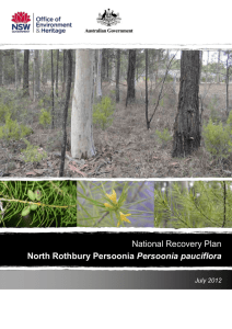 Persoonia pauciflora - Department of the Environment