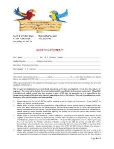 Rushville Bird Adoption Contract - A Place to Call Home Parrot