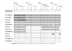 Comparison of genome sequence of PVY isolates with biological