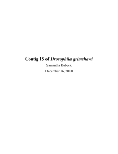D. Grimshawi Contig 15 GEP Report