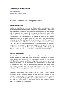Adaptive Dynamics and Phylogenetic Trees