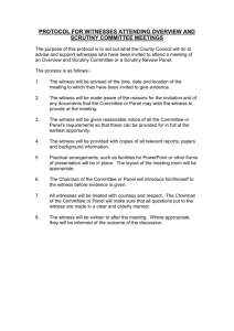 protocol for witnesses attending overview and scrutiny committee