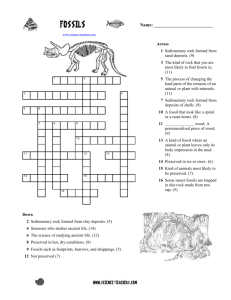 crossword on fossils - Science Teacher Resources