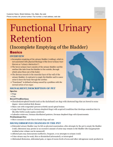 functional_urinary_retention
