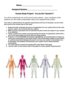 Human Body Project: You be the Teacher