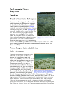 Environmental Status: Seagrasses
