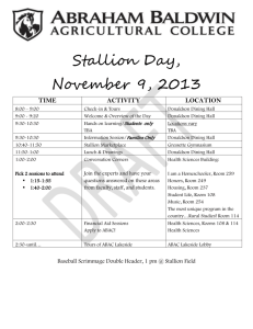 STALLION DAY- November 8th