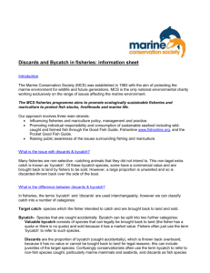 information sheet - Marine Conservation Society
