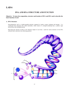 (6) DNA-RNA Structure & Function