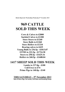 NEWARK IS THE PLACE - Newark Livestock Sales