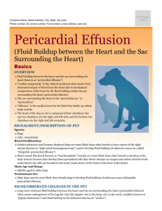 pericardial_effusion