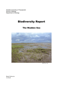 Biodiversity report