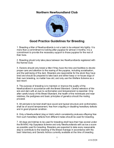Good Practice Guidelines for Breeding