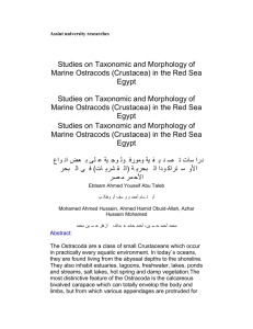 Assiut university researches Studies on Taxonomic and Morphology