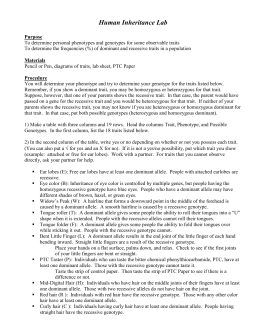 pedigree worksheet human inheritance lab
