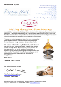 Clarins New Melting Honey Stone Massage