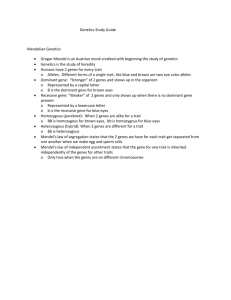 Chapter 12 Genetics Study Guide