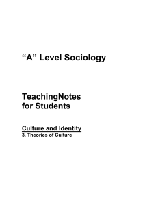 theories of culture - panchu