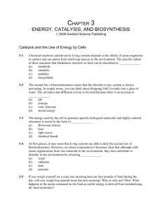 Energy, Catalysis, and Biosynthesis