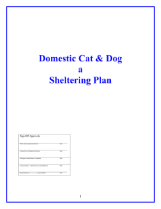 Pet Friendly Sheltering Plan