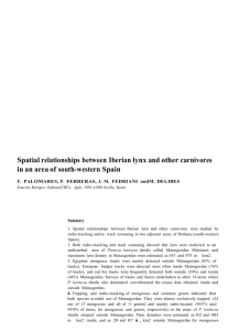 Spatial Relationships Between Iberian Lynx and Other Carnivores in